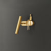 Brass Villain Wall Lamp